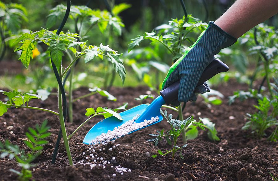 Fertilizzazione Servizi L’ARMONIA IN GIARDINO DITTA BERIACH FLAVIO a Cividale del Friuli
