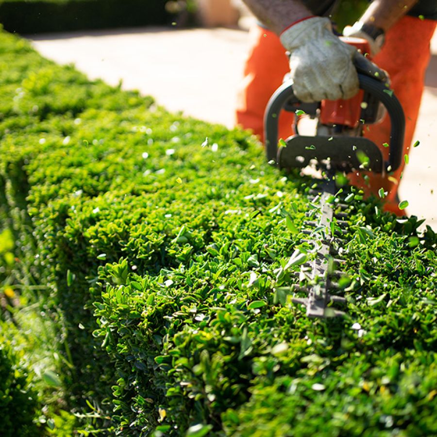 Manutenzione del verde come parchi e giardini L’ARMONIA IN GIARDINO DITTA BERIACH FLAVIO a Cividale del Friuli