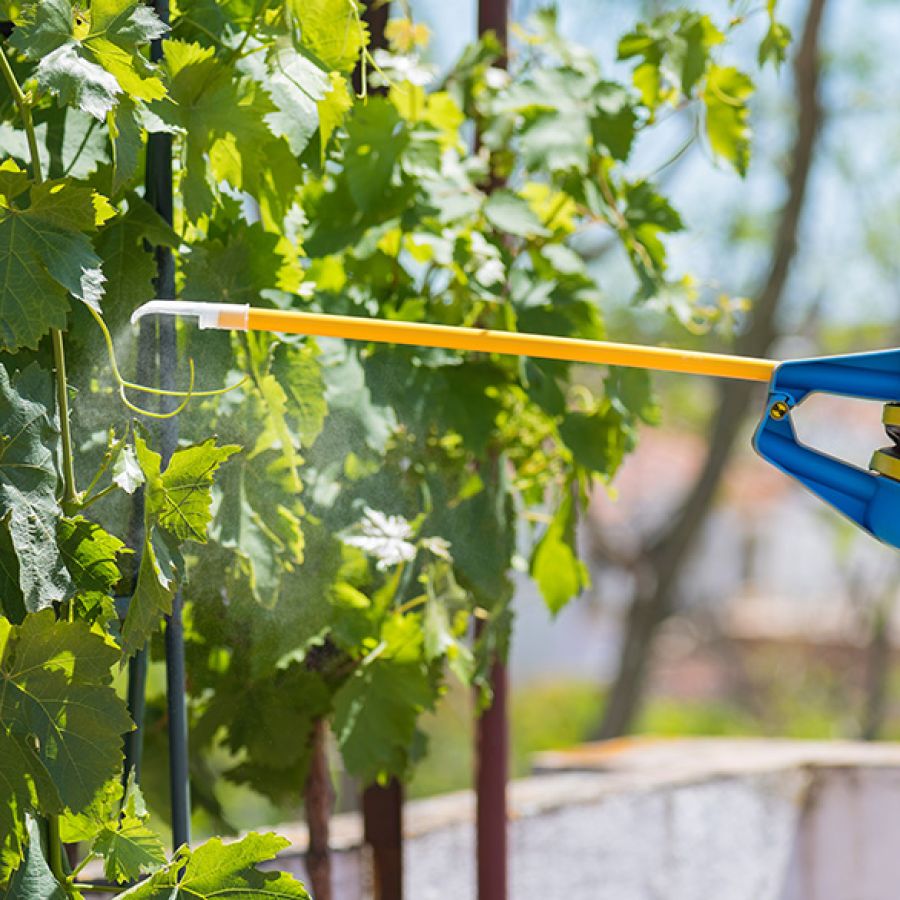 Trattamenti fitosanitari L’ARMONIA IN GIARDINO DITTA BERIACH FLAVIO a Cividale del Friuli