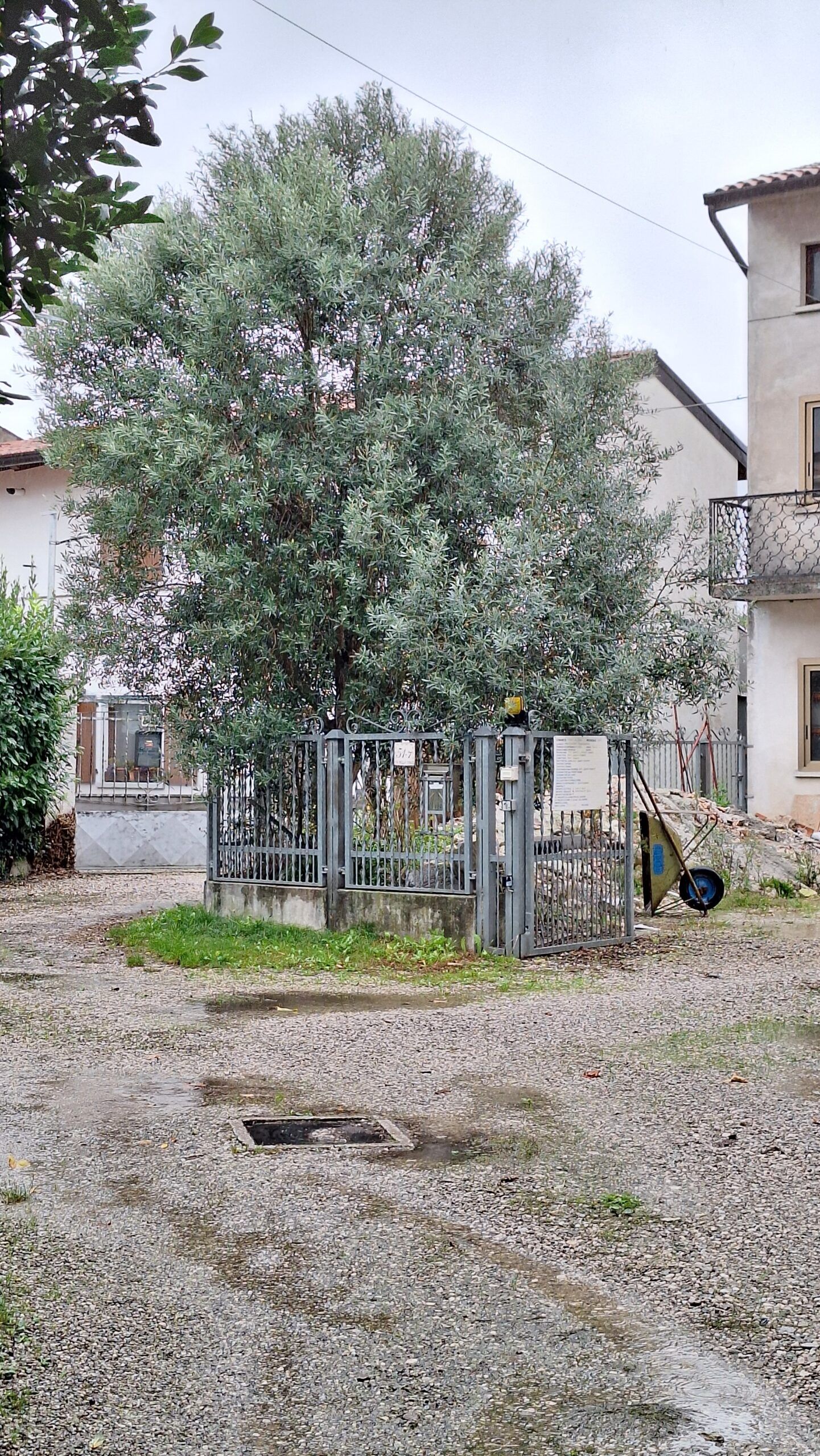 Galleria fotografica L’ARMONIA IN GIARDINO DITTA BERIACH FLAVIO a Cividale del Friuli