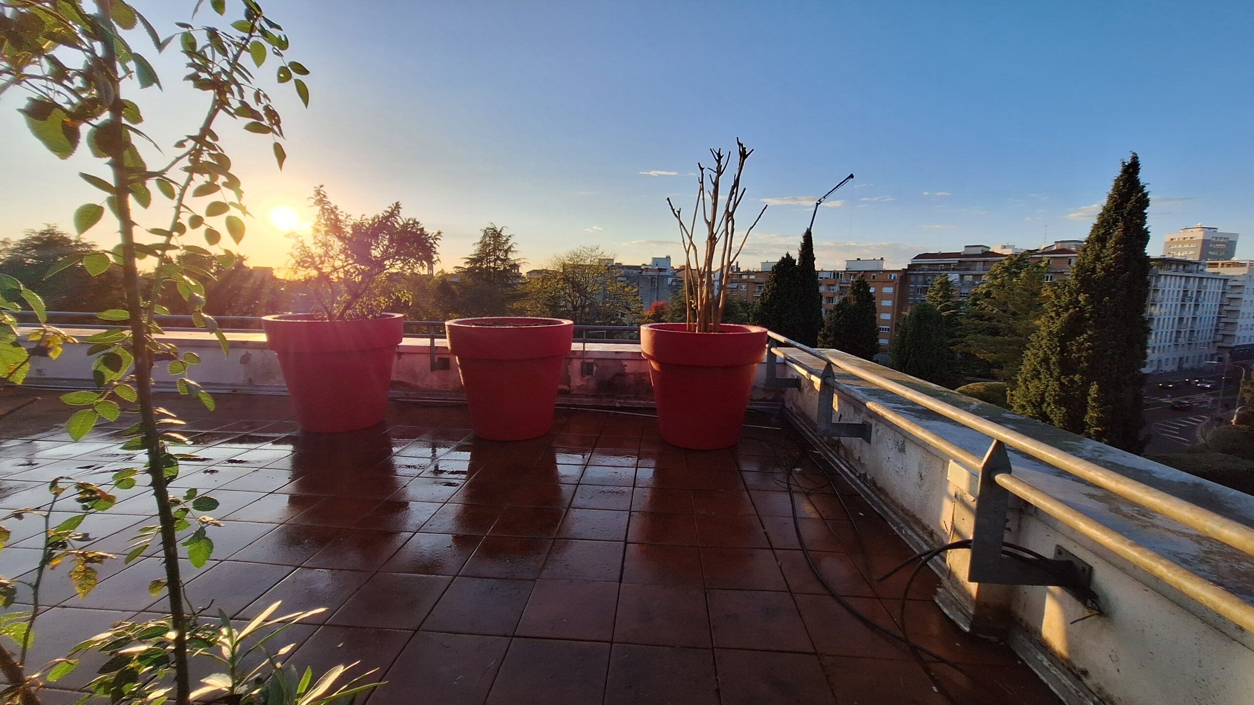 Galleria fotografica L’ARMONIA IN GIARDINO DITTA BERIACH FLAVIO a Cividale del Friuli