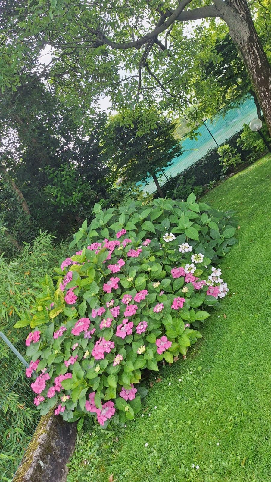Galleria fotografica L’ARMONIA IN GIARDINO DITTA BERIACH FLAVIO a Cividale del Friuli