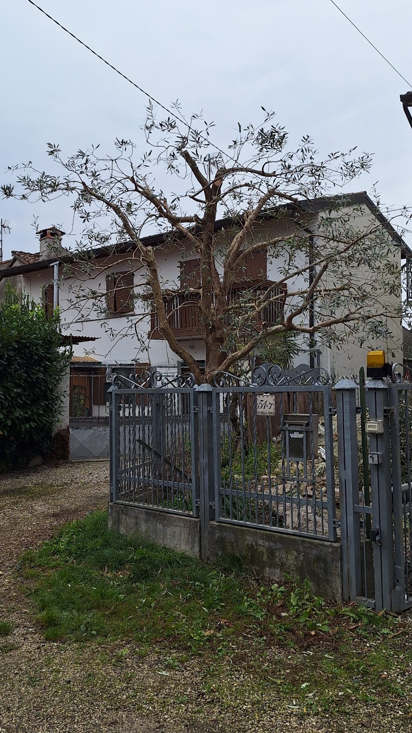 Galleria fotografica L’ARMONIA IN GIARDINO DITTA BERIACH FLAVIO a Cividale del Friuli