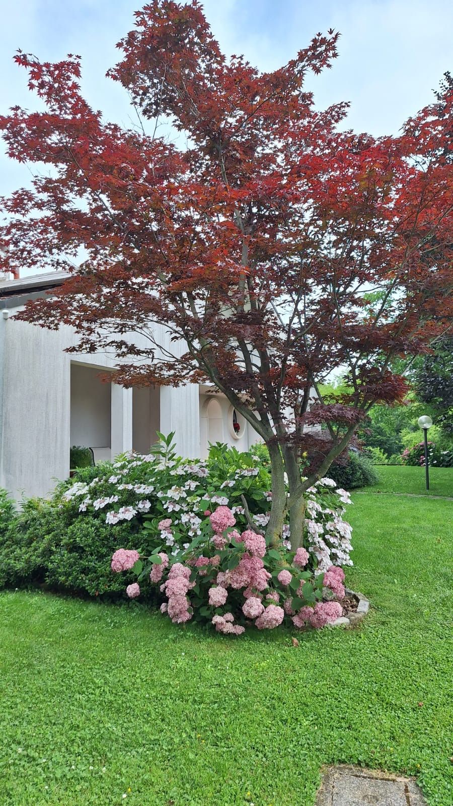 Galleria fotografica L’ARMONIA IN GIARDINO DITTA BERIACH FLAVIO a Cividale del Friuli