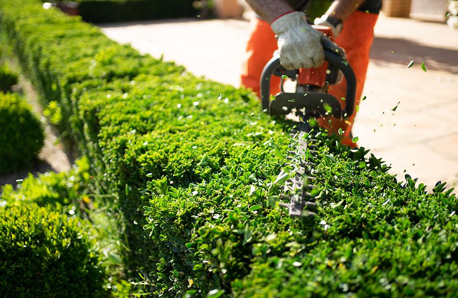 Manutenzione di parchi e giardini Servizi L’ARMONIA IN GIARDINO DITTA BERIACH FLAVIO a Cividale del Friuli