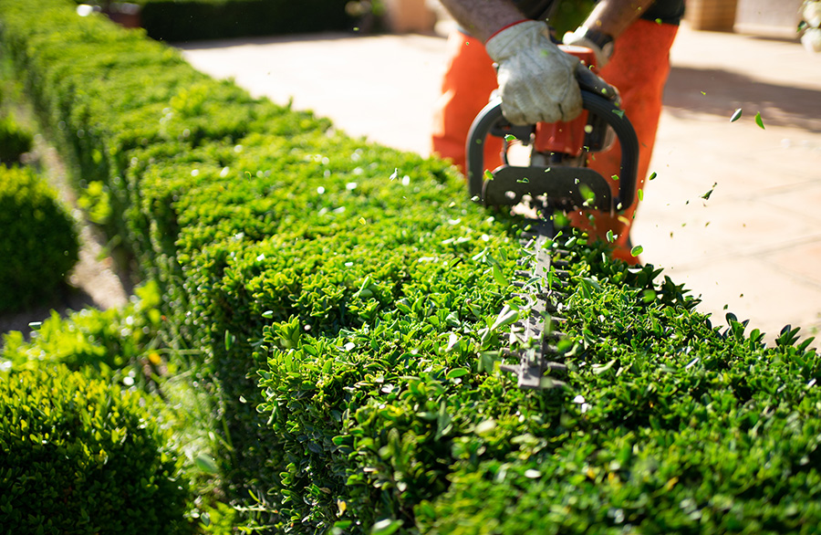 Manutenzione di parchi e giardini Servizi L&rsquo;ARMONIA IN GIARDINO DITTA BERIACH FLAVIO a Cividale del Friuli