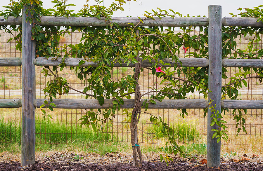 Strutture in legno Servizi L&rsquo;ARMONIA IN GIARDINO DITTA BERIACH FLAVIO a Cividale del Friuli