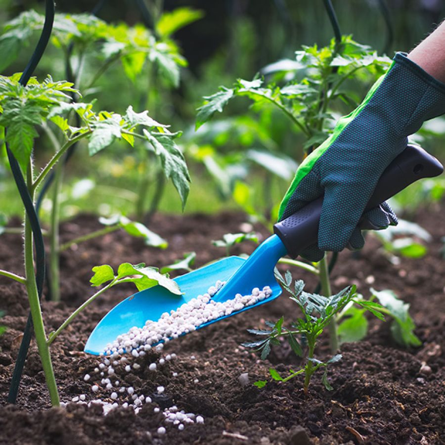 Fertilizzazione L&rsquo;ARMONIA IN GIARDINO DITTA BERIACH FLAVIO a Cividale del Friuli