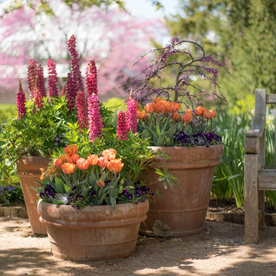 Composizioni con vasi, fornitura di vasi per arredamento L&rsquo;ARMONIA IN GIARDINO DITTA BERIACH FLAVIO a Cividale del Friuli